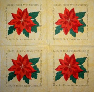 001 Weihnachten Blumen - Ihr